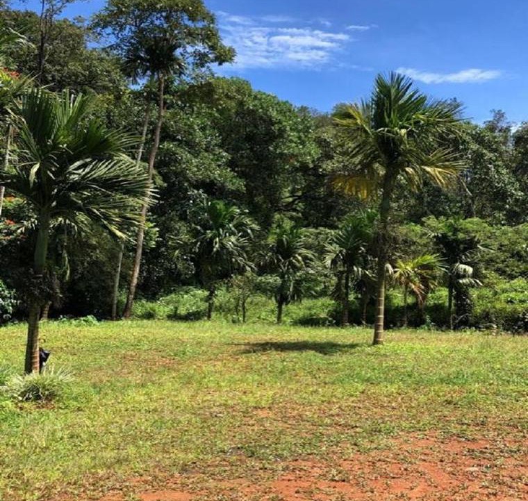 Photo of Outdoor in Vythiri