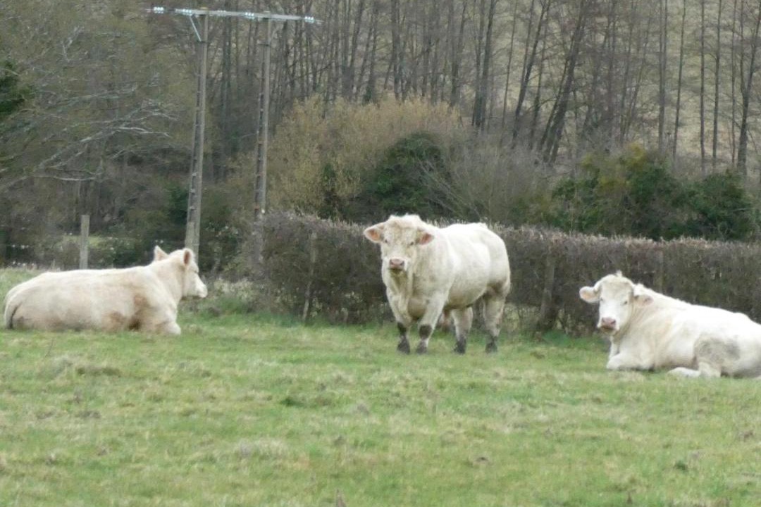 Photo of Others in Longny les Villages