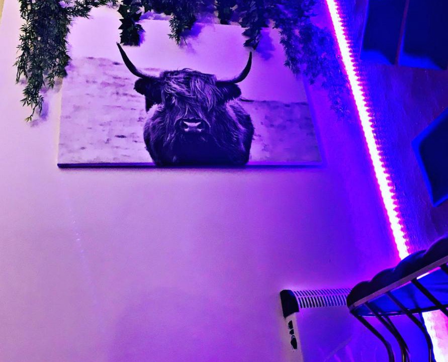 Photo of Bedroom in Oberlaa