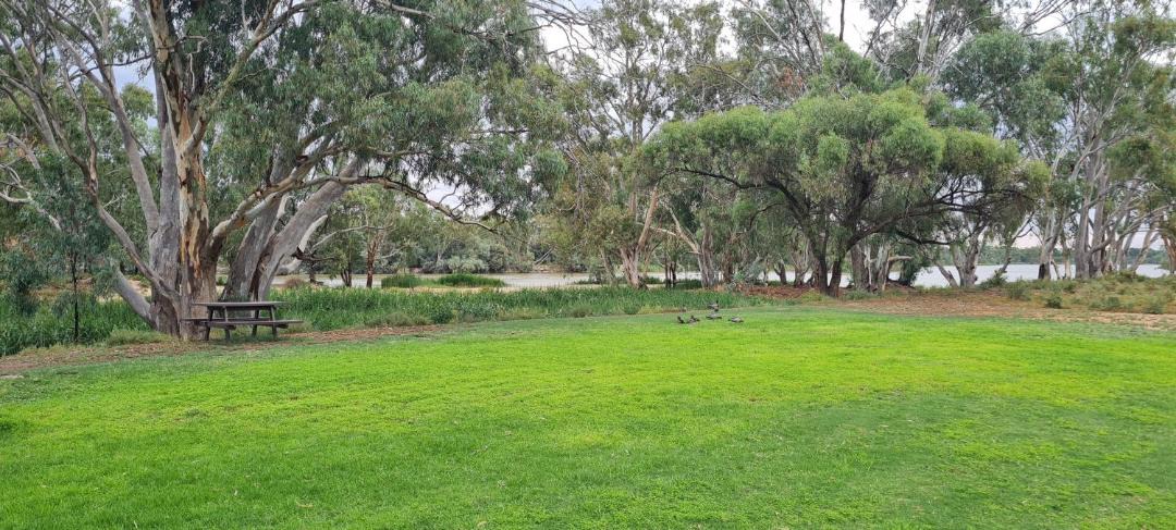 Photo of Others in Paringa