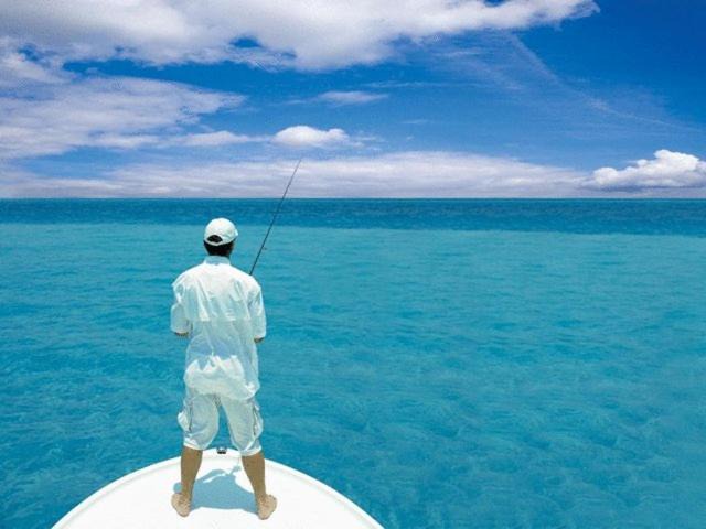 Photo of Others in Captiva