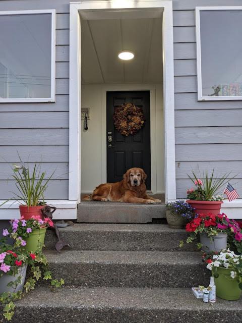 Photo of Others in Gold Beach
