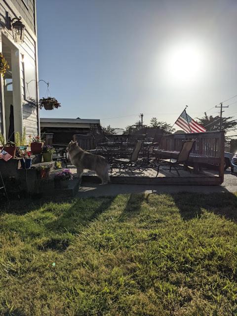 Photo of Others in Gold Beach