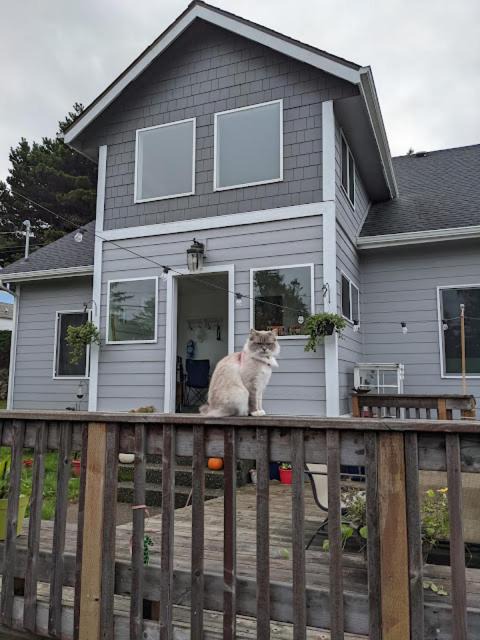 Photo of Buildings in Gold Beach