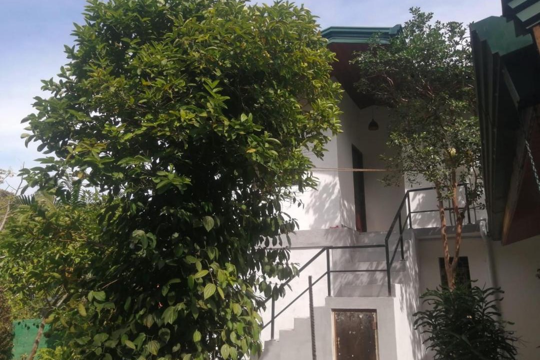 Photo of Buildings in Kandy