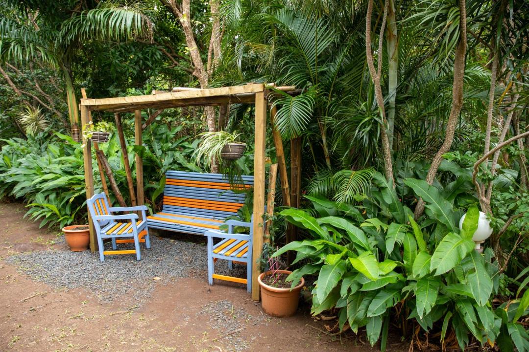 Photo of Patio Balcony in Mahaut