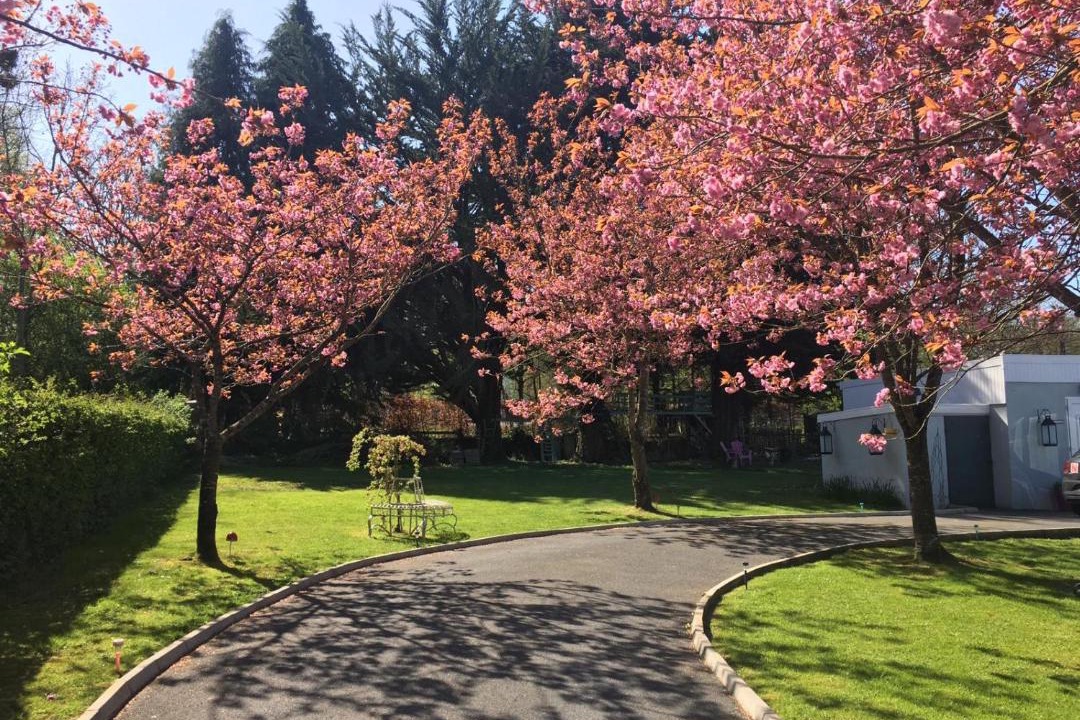 Photo of Outdoor in Jenkinstown