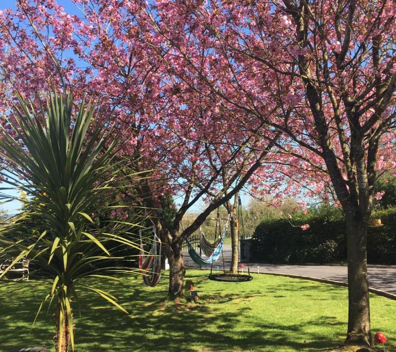 Photo of Outdoor in Jenkinstown