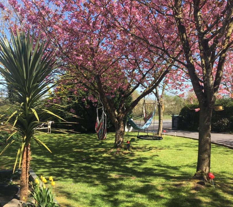 Photo of Outdoor in Jenkinstown