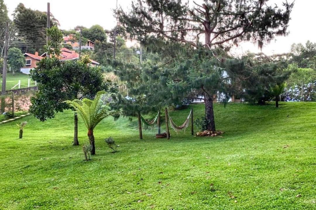 Photo of Others in Monte Verde