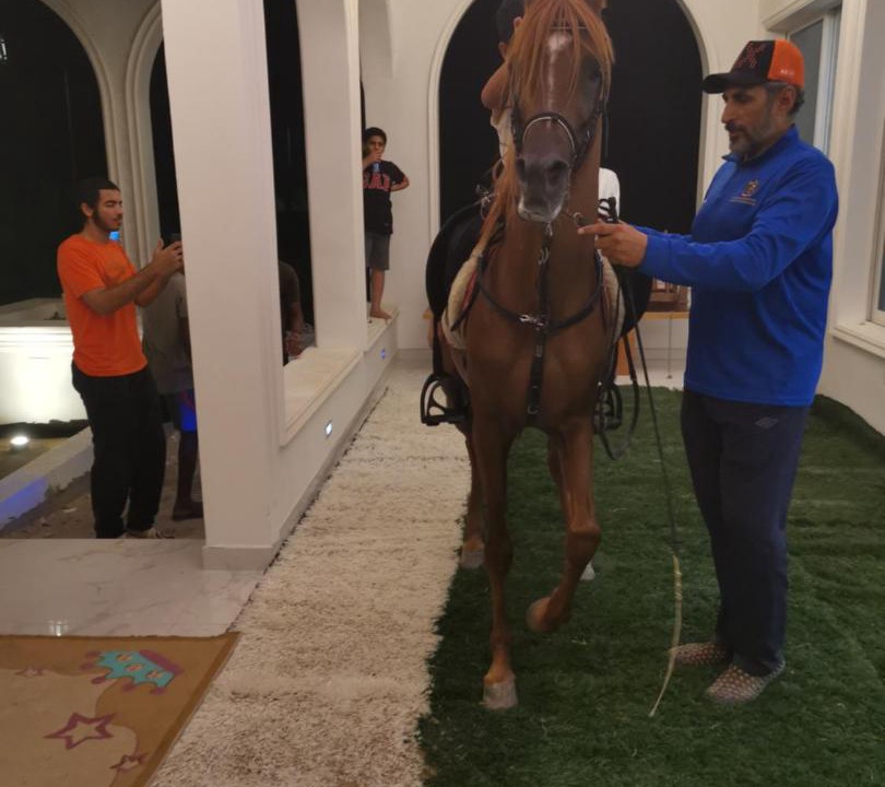 Photo of Human In Picture in Al Wathba