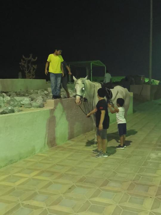 Photo of Others in Al Wathba