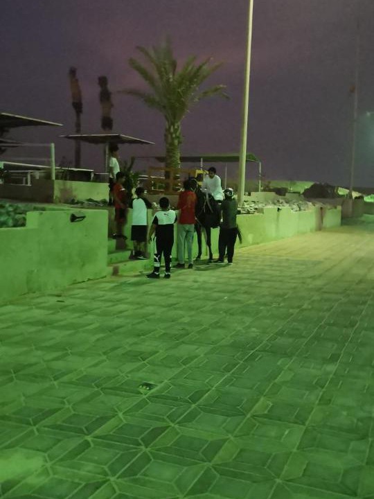 Photo of Others in Al Wathba