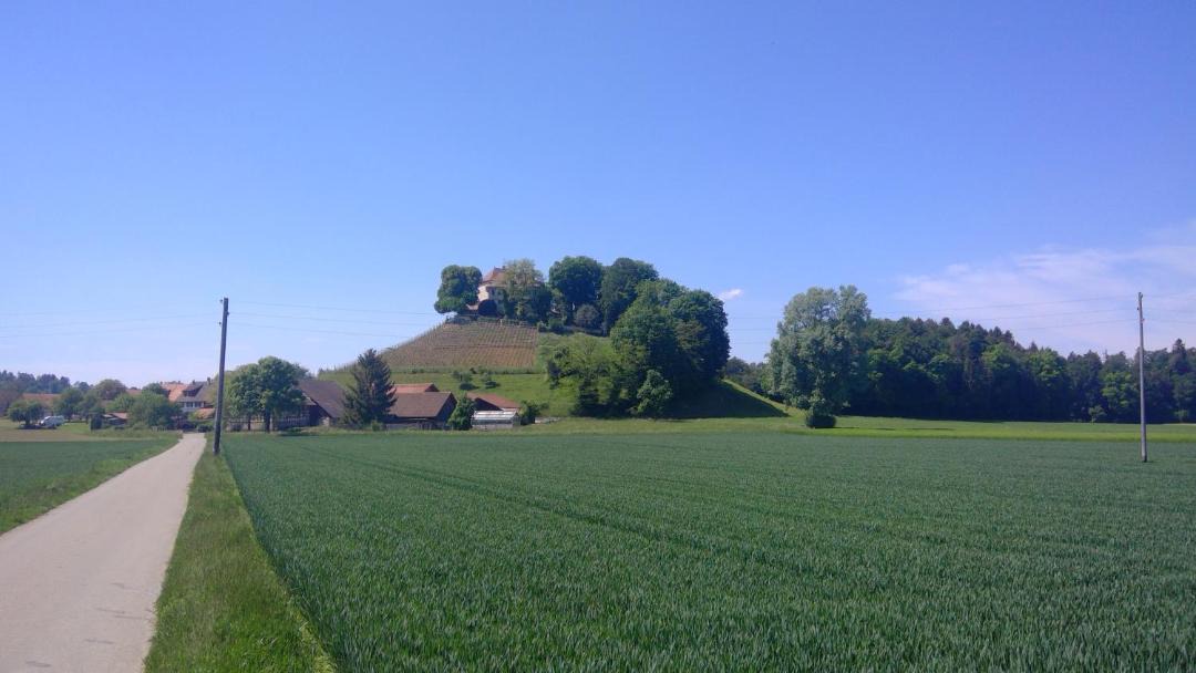 Photo of Others in Stein am Rhein