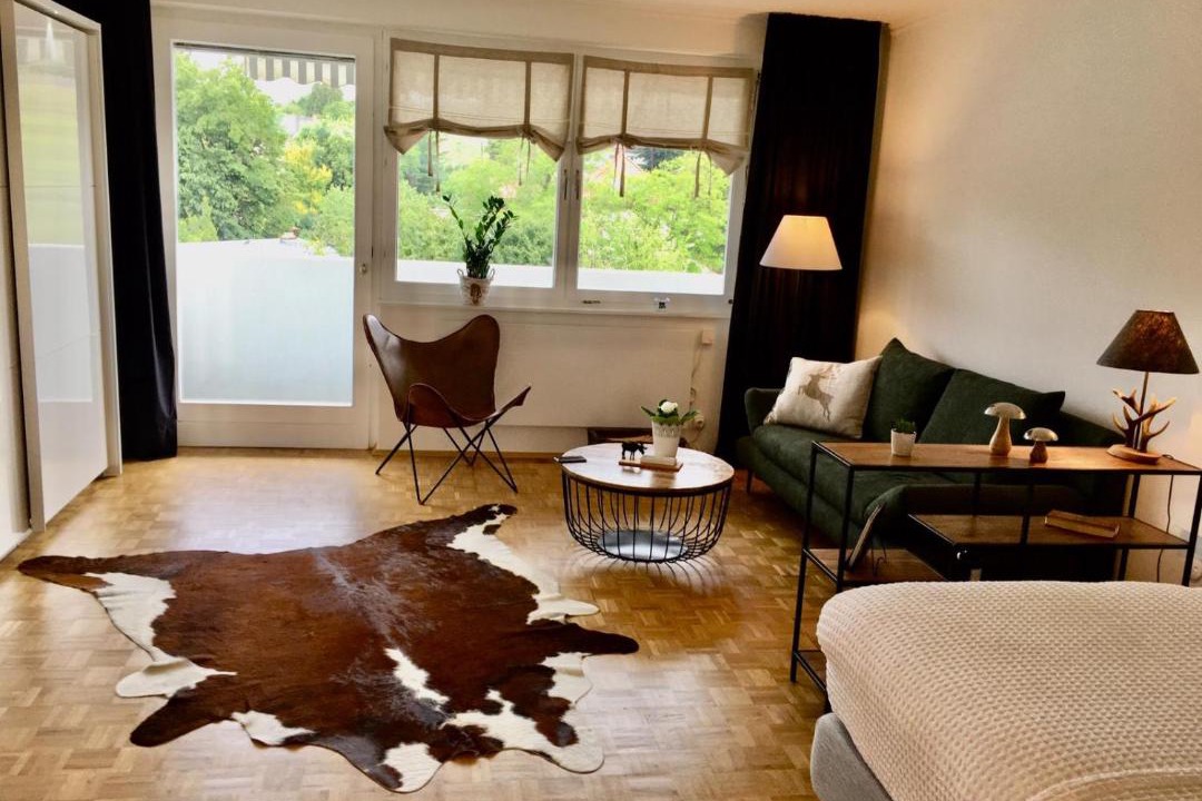 Photo of Livingroom in Geidorf