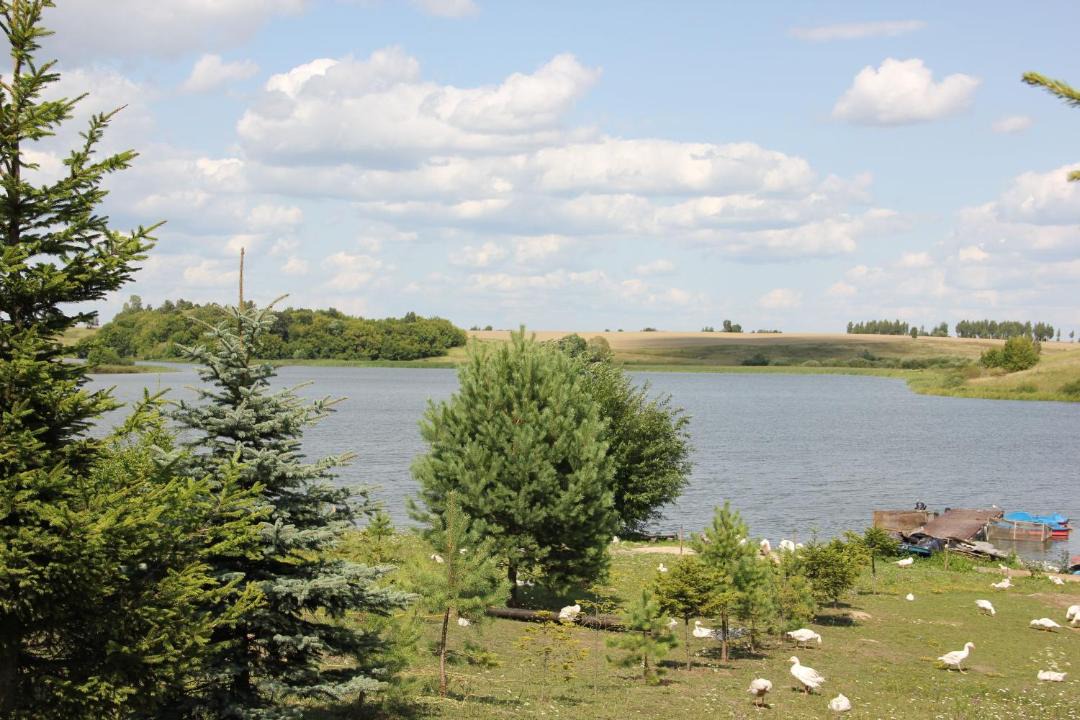 Photo of Outdoor in Zhiryatinskoe