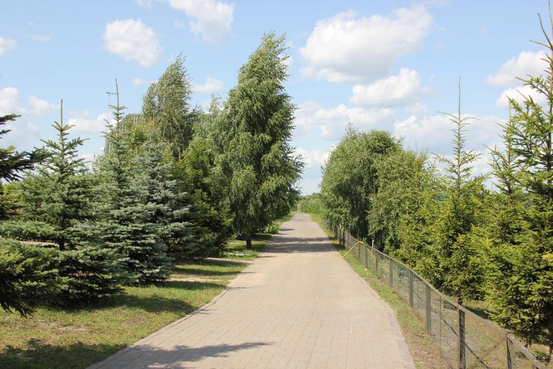 Photo of Others in Zhiryatinskoe