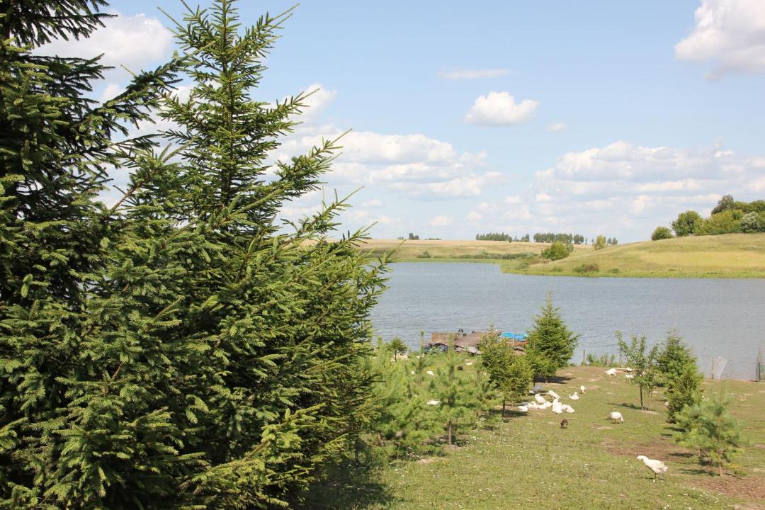 Photo of Outdoor in Zhiryatinskoe