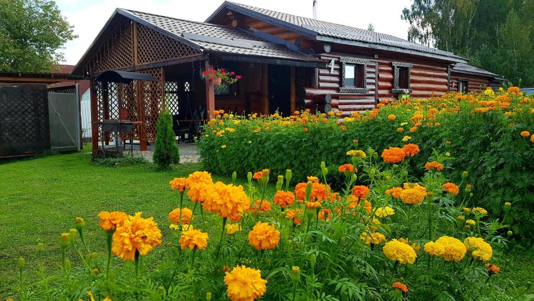 Photo of Buildings in Volkovskoe