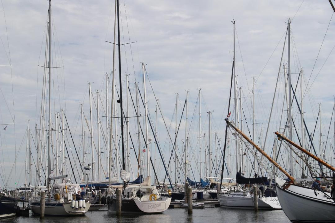 Photo of Others in Medemblik