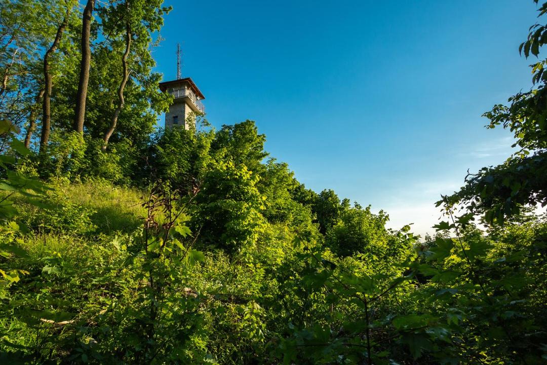 Photo of Others in Vranov