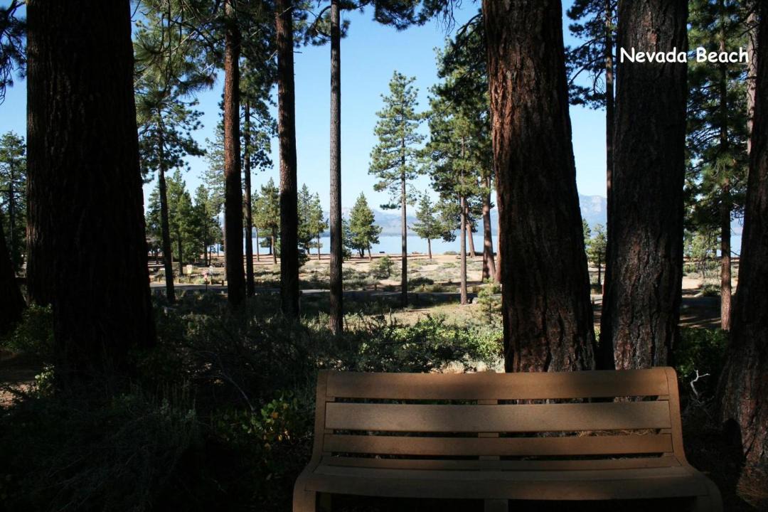 Photo of Buildings in Tahoe Village