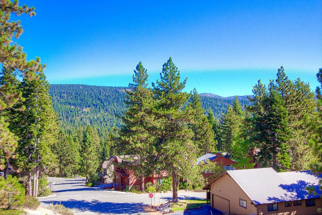 Photo of Others in Incline Village