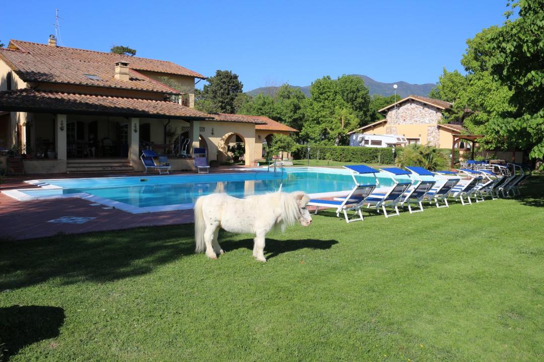 Photo of Others in San Giuliano Terme