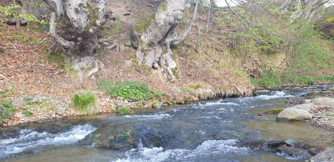 Photo of Outdoor in Cristian