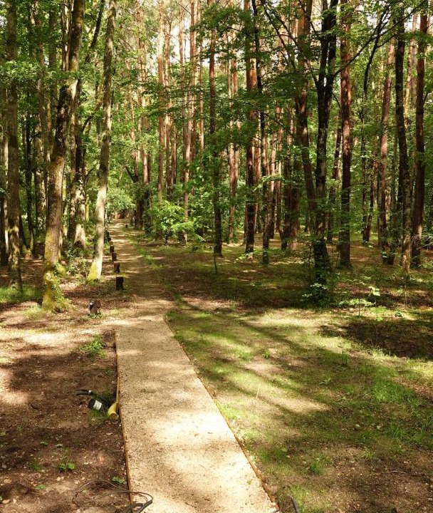 Photo of Outdoor in Nouan-sur-Loire