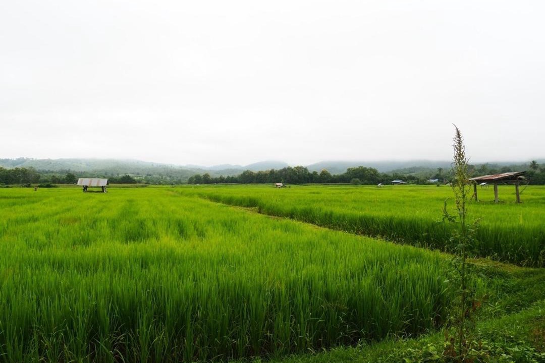 Photo of Others in Na Noi