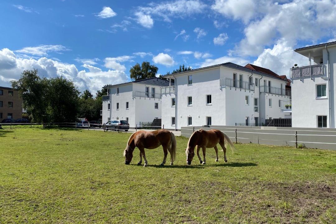 Photo of Buildings in Eversten