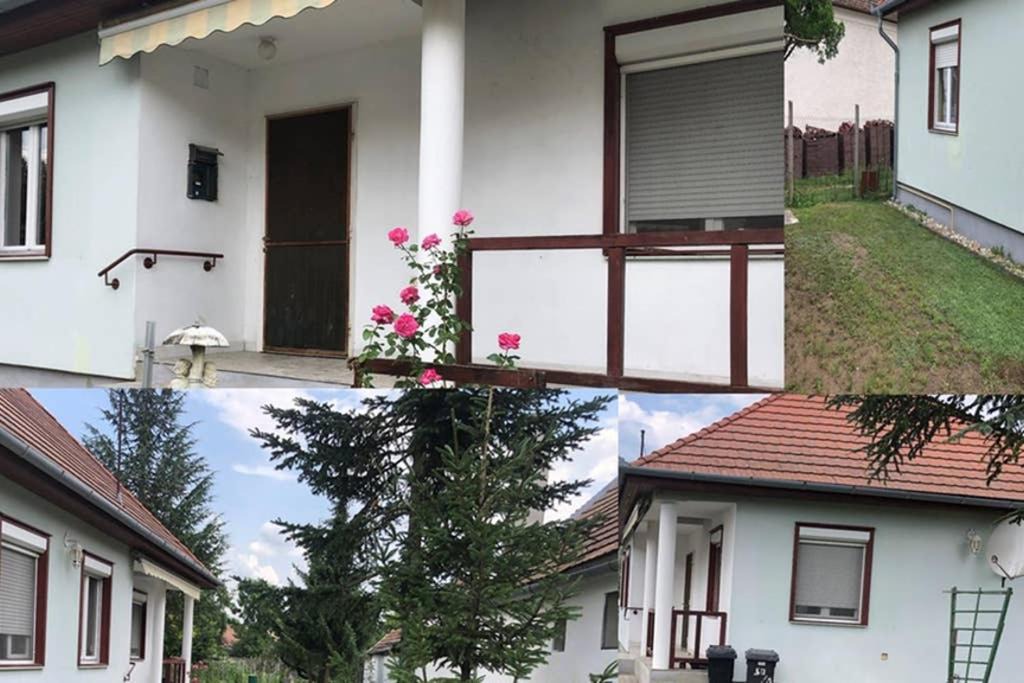 Photo of Others in Ebergoc