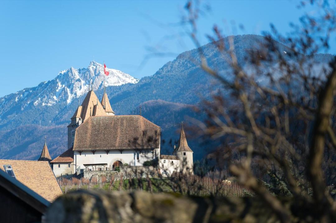 Photo of Others in Aigle