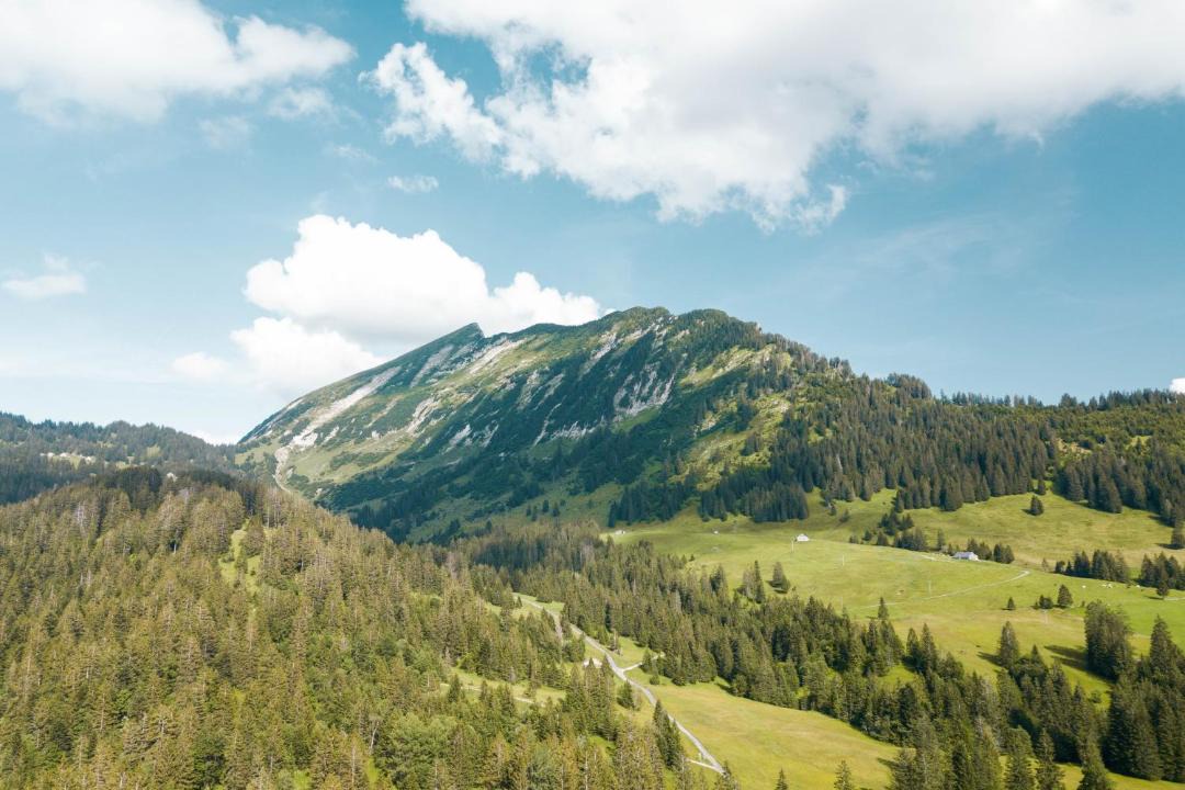 Photo of Outdoor in Mitloedi