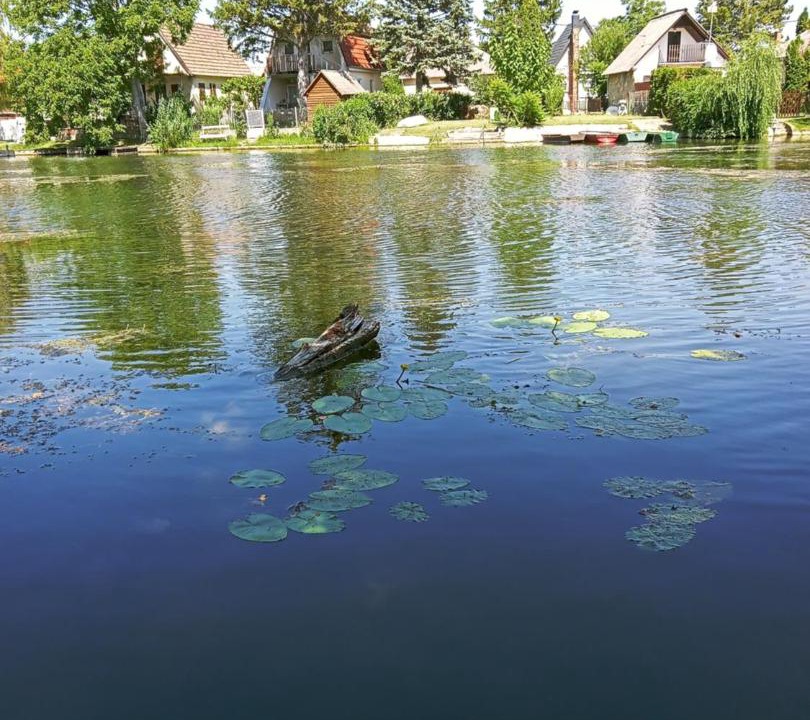 Photo of Outdoor in Dunasziget