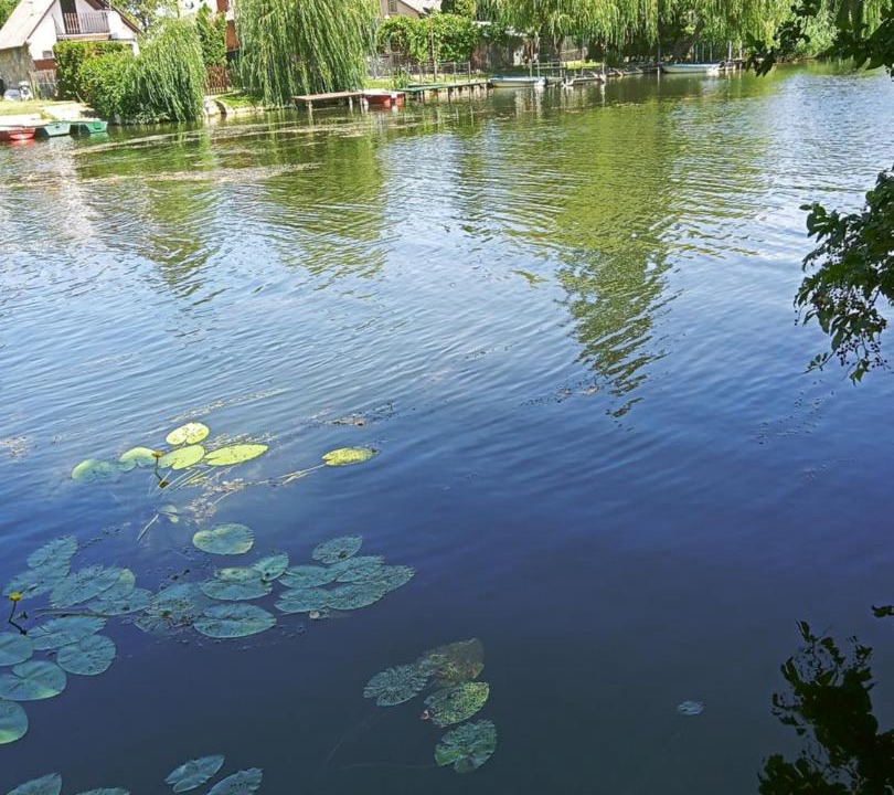 Photo of Outdoor in Dunasziget