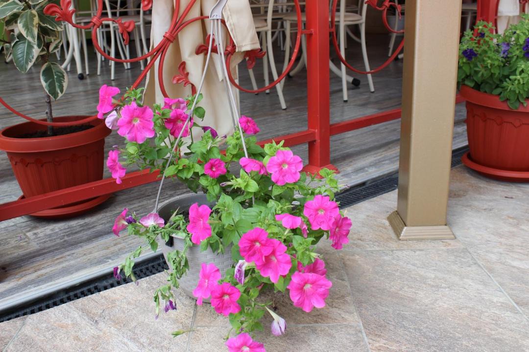 Photo of Patio Balcony in Golubye Dali