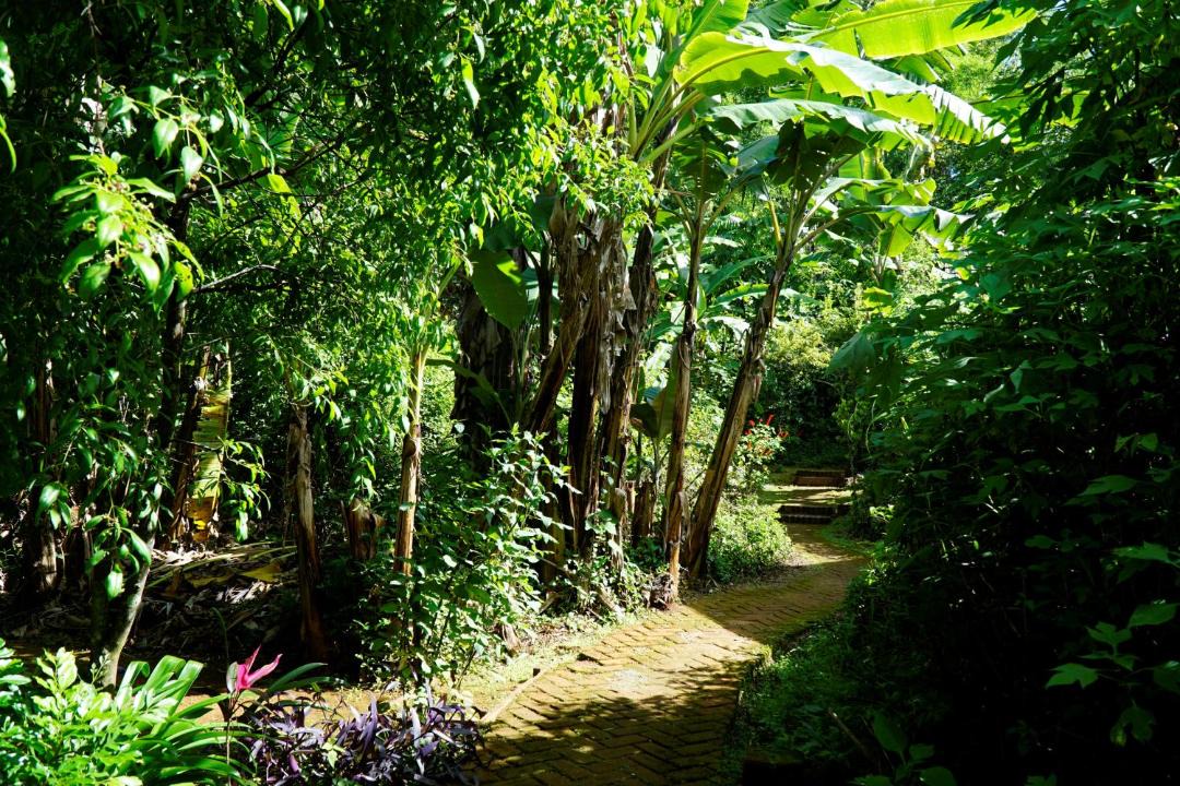Photo of Outdoor in Kalaw
