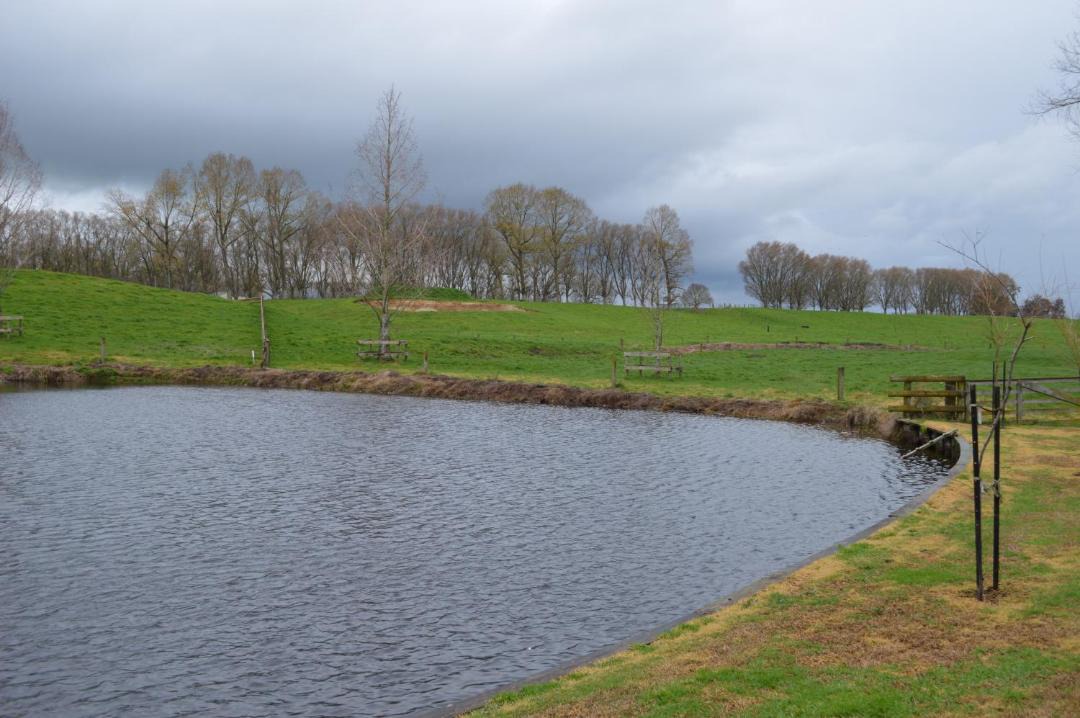 Photo of Others in Matamata