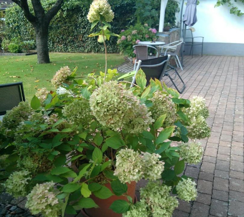 Photo of Others in Billigheim-Ingenheim