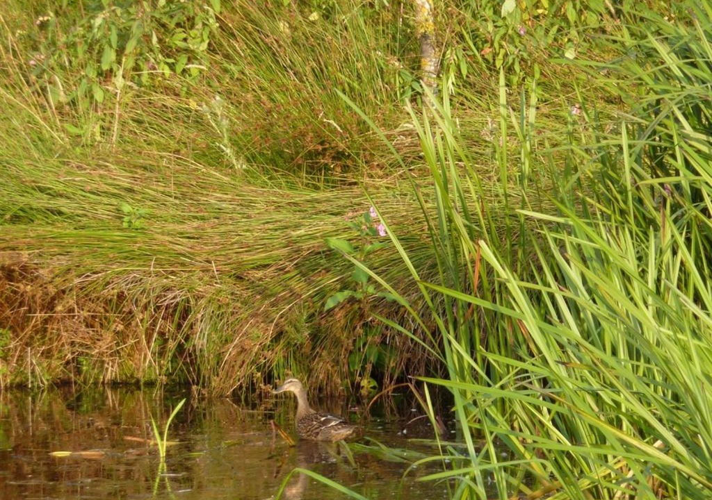Photo of Others in Edmundbyers