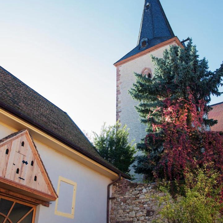 Photo of Buildings in Bissersheim