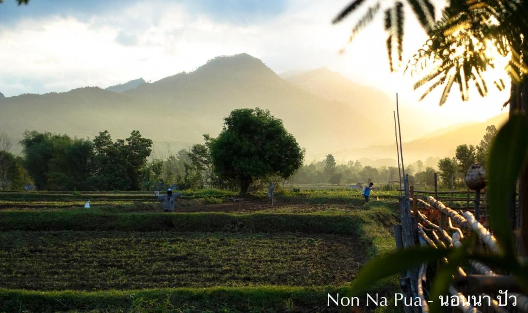 Photo of Others in Pua