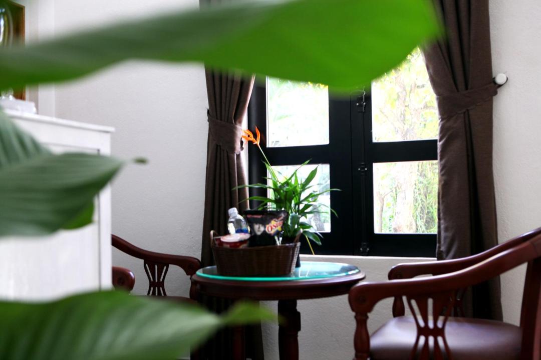 Photo of Others in Thuy Xuan