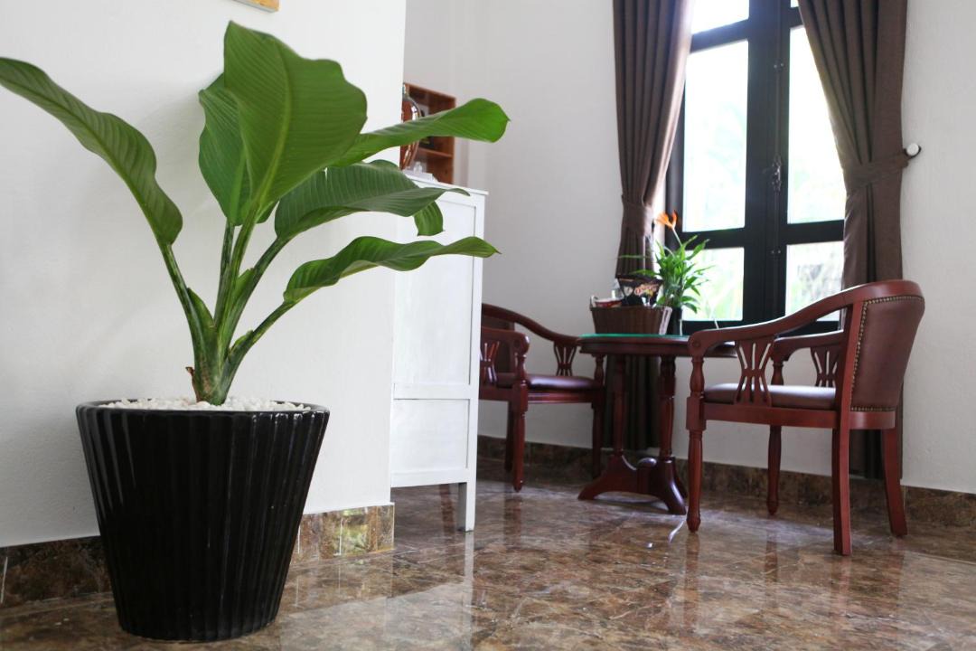 Photo of Others in Thuy Xuan