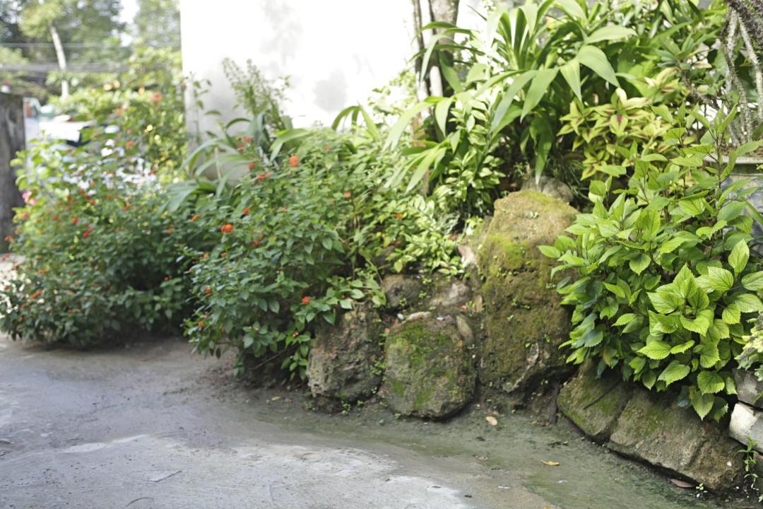 Photo of Others in Thuy Xuan