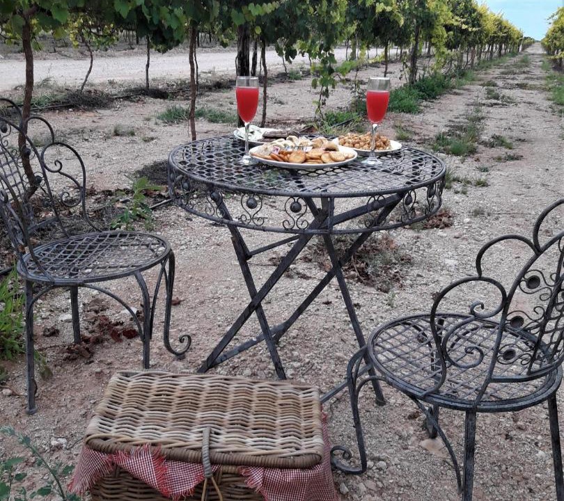 Photo of Patio Balcony in Strampriet