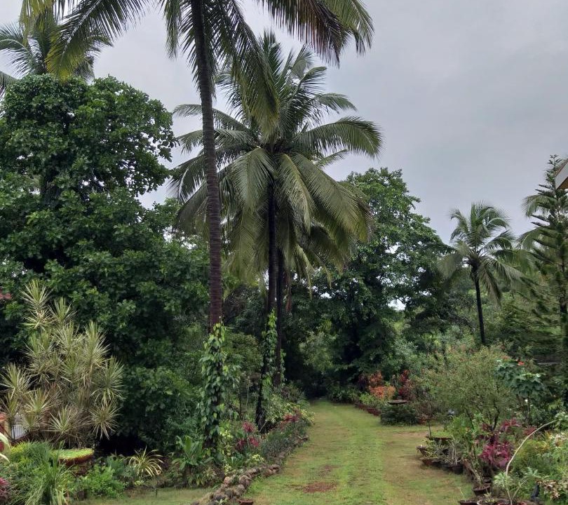 Photo of Outdoor in Ponda