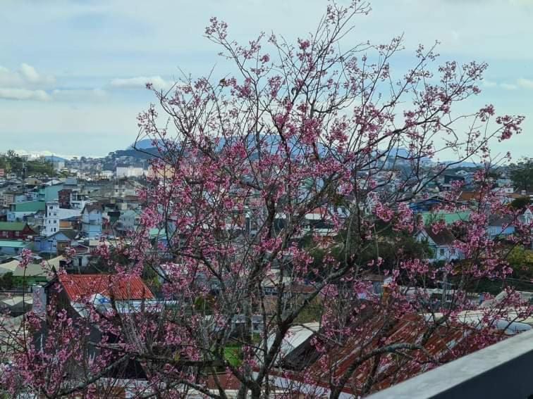 Photo of Others in Da Lat